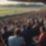 A panoramic view of Meadows Racetrack showcasing the grandstand filled with enthusiastic spectators.